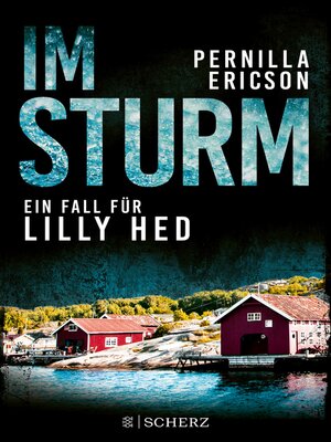 cover image of Im Sturm